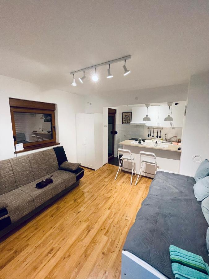Sokobanja Apartman Aleksa Εξωτερικό φωτογραφία