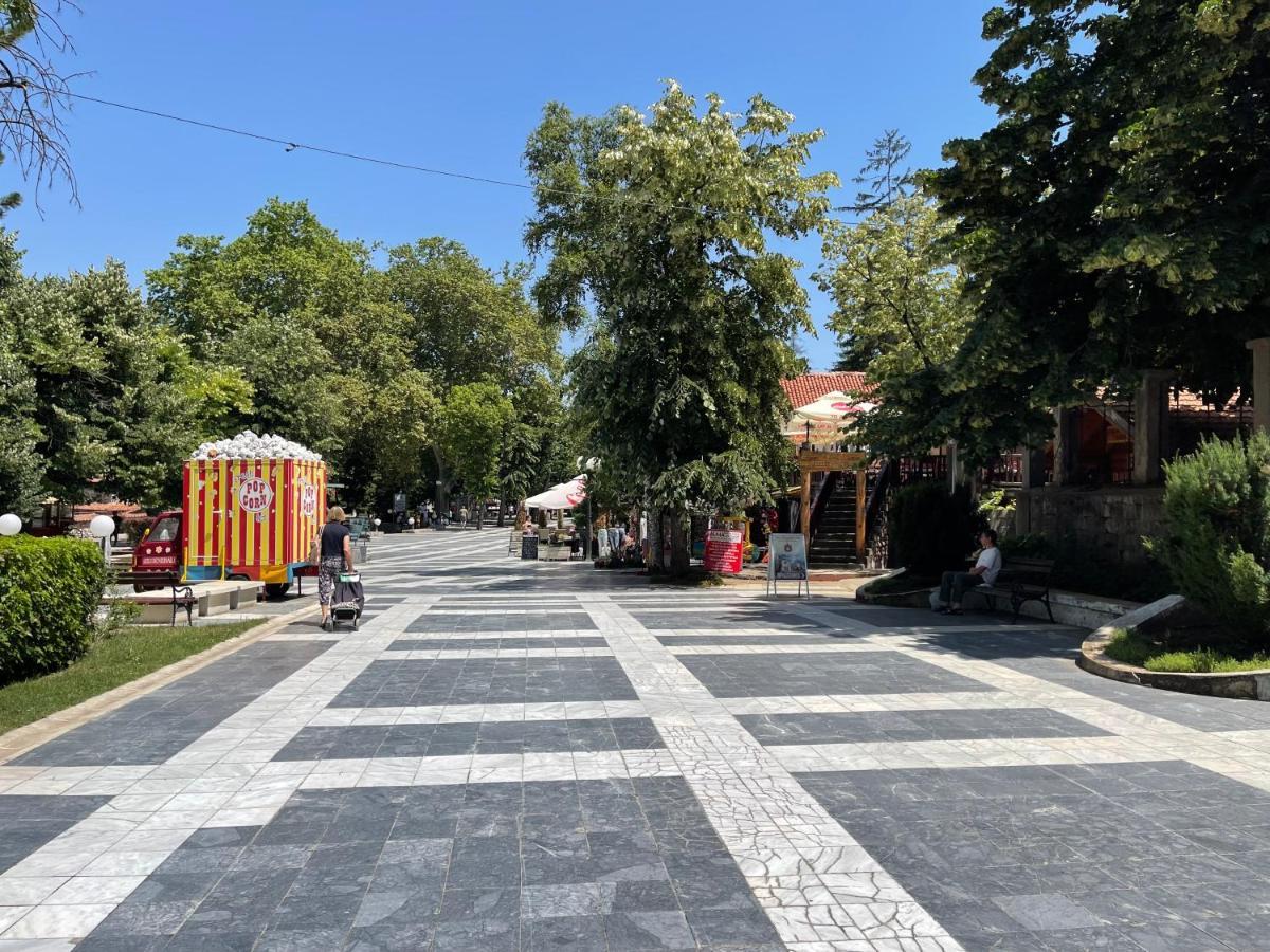 Sokobanja Apartman Aleksa Εξωτερικό φωτογραφία